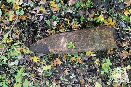 Взрывотехники Росгвардии обезвредили боеприпасы, обнаруженные в лесах Кубани