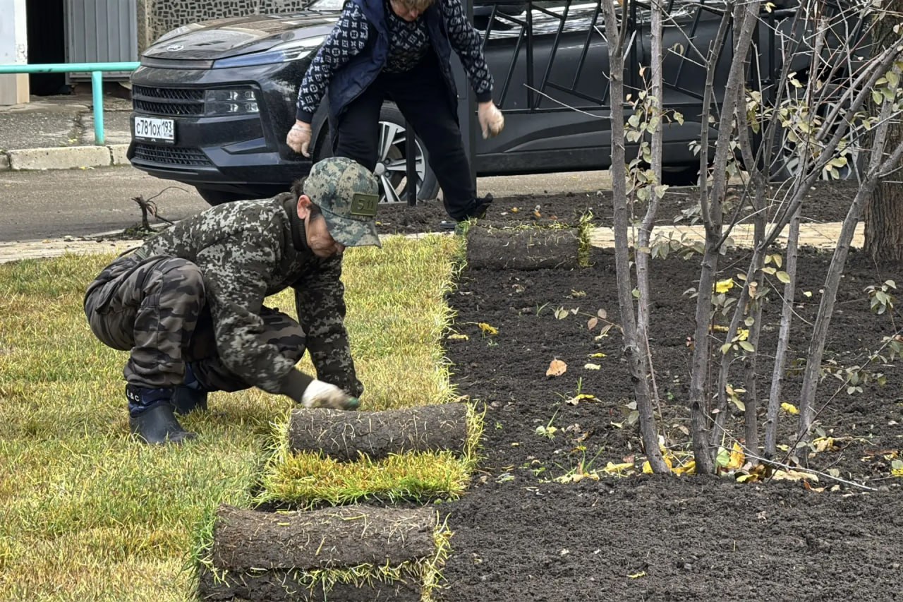В Краснодаре началось озеленение двух территорий, которые выбраны жителями для благоустройства