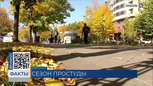 В ноябре на Кубани станет холоднее: как кубанцы защищаются в сезон простуд?