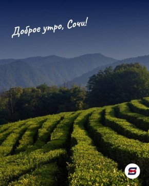 Доброе утро!. Факт: Сочи - город с самым мягким климатом на Черноморском побережье