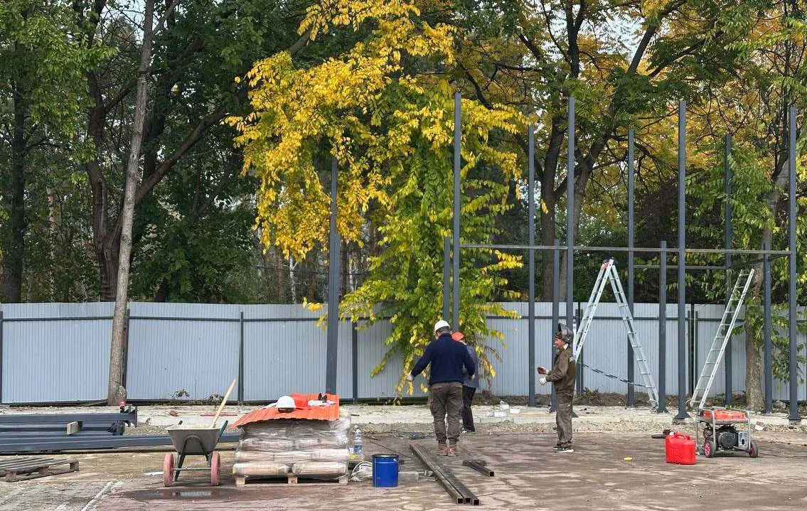 В краснодарском парке им. 30-летия Победы построят площадку для пляжных видов спорта