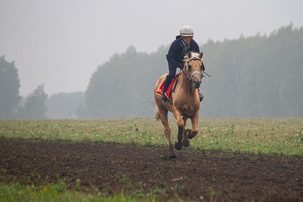 В КБР прошел первый фестиваль джигитовки