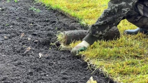 Евгений Наумов: В Краснодаре началось озеленение двух территорий, которые выбраны жителями для благоустройства в рамках федерального проекта «Формирование комфортной городской среды»