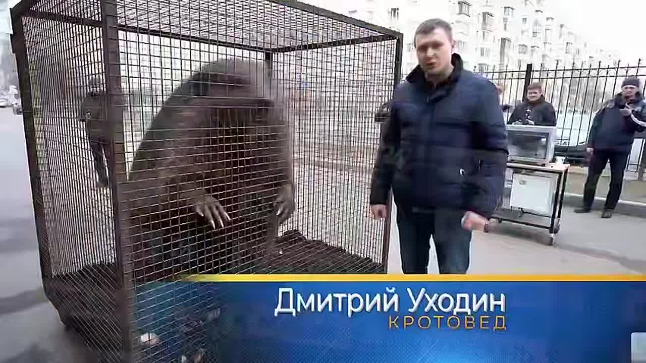 Проекту краснодарского метро — быть?