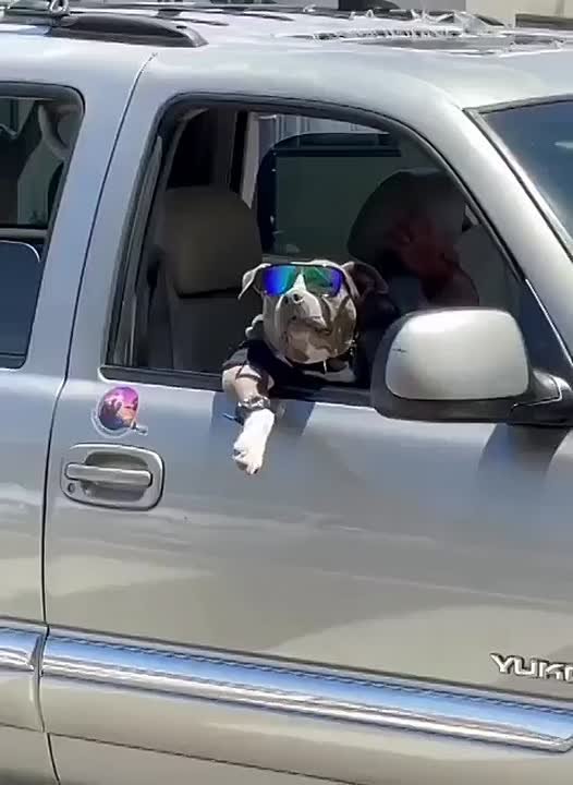 Ну, здравствуйте