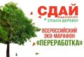 В АРМАВИРЕ ПРОЙДЕТ ЭКО-МАРАФОН ПЕРЕРАБОТКА «СДАЙ МАКУЛАТУРУ-СПАСИ ДЕРЕВО»