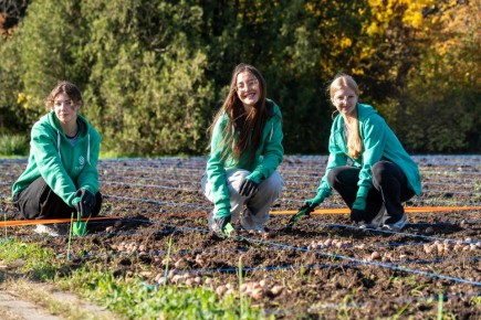 Студенты КубГАУ высадили в краснодарском Ботаническом саду 150 тысяч луковиц тюльпанов
