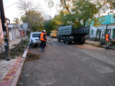 Уборка контейнерных площадок, порубочных остатков и веток (ул