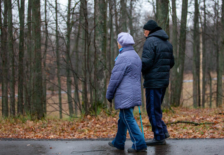 Секрет безопасности от мошенников для бабушек и дедушек