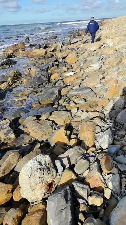 Точечные выбросы мазута ликвидируют на побережье Анапы