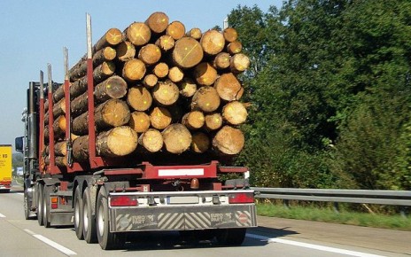 Госавтоинспекция Краснодарского края продолжает работу по пресечению незаконного оборота леса и лесоматериалов