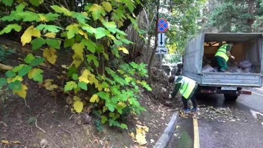 В Сочи усилена работа по ликвидации перенакопления отходов на контейнерных площадках