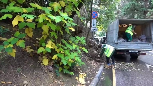 Это случилось!. Площадку с мусором, на которую постоянно жаловались жители района Больничный городок, наконец убрали