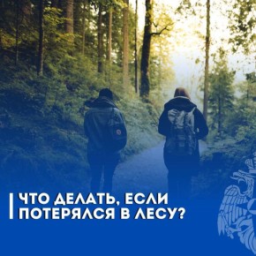 В лес – безопасно! МЧС России напоминает
