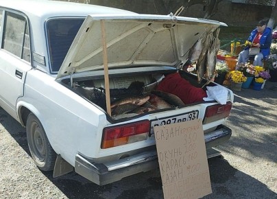 Напоминание о рисках, связанных с приобретением рыбной продукции в местах несанкционированной торговли