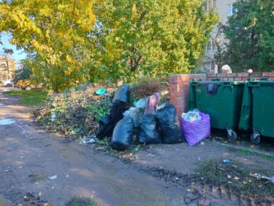 Уборка контейнерных площадок по ул. Р. Люксембург, 6 и по ул. Островского, 6
