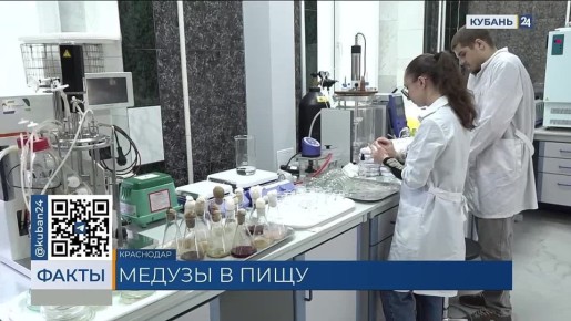 Наш корреспондент впервые попробовал приготовленную медузу, и вкус оказался необычным