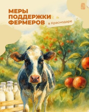 Получаем субсидии, потому, потому, что мы — пилоты фермеры