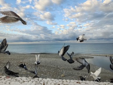 Доброе утро, дорогие сочинцы и гости курорта!