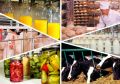 Уважаемые руководители предприятий пищевой и перерабатывающей промышленности!