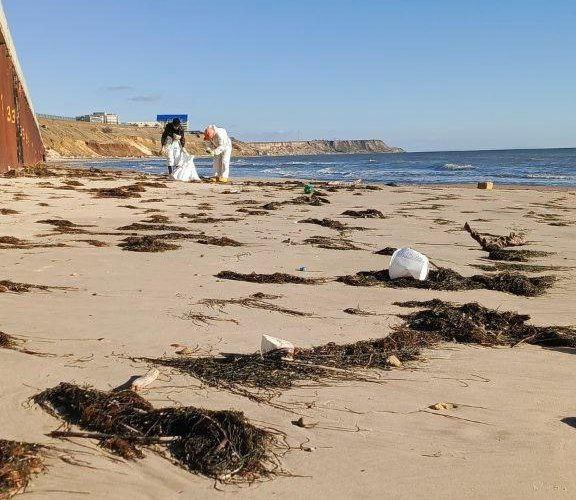 В Анапе и Темрюкском районе ликвидируют точечные выбросы нефтепродуктов