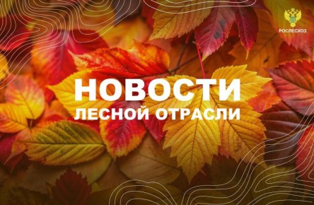 Интерфакс: Замглавы Рослесхоза: Бизнес с точки зрения платы за лес пока находится в неравных условиях