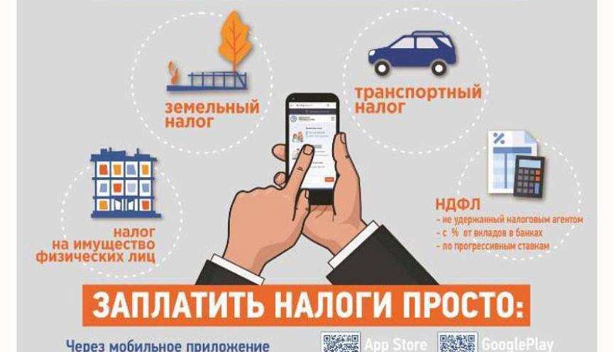 Уплатить имущественные налоги необходимо в срок не позднее 1 декабря