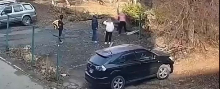Пенсионерка из Владивостока напала на соседок с бревном