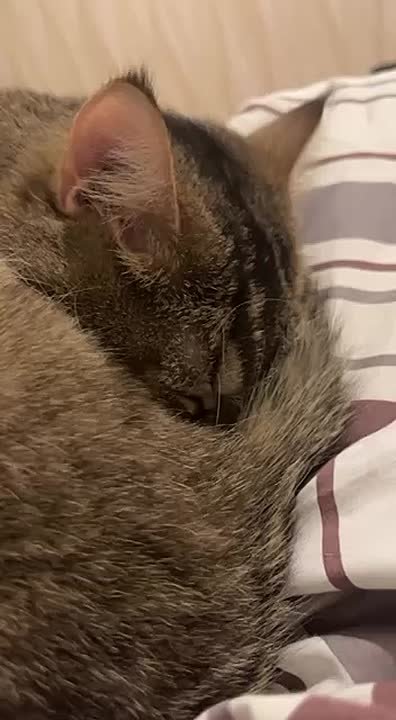 Ну а теперь – всем доброй ночи!