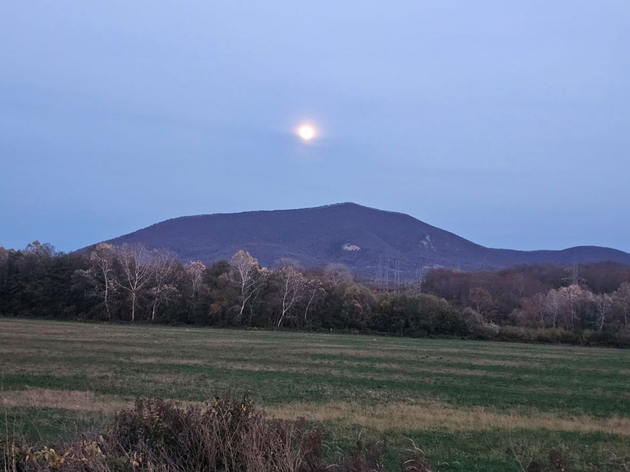 От подписчиков. Фотография сделана в Дефановке