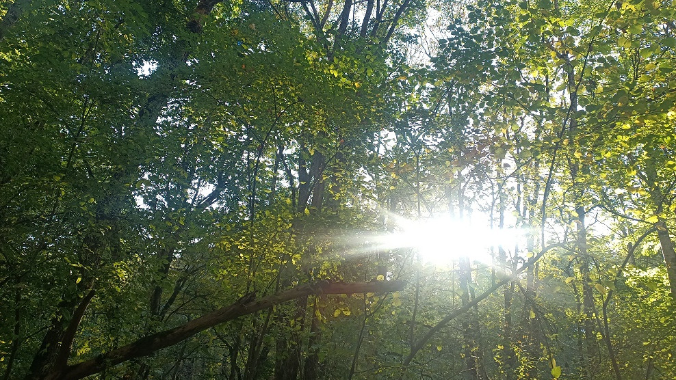 Золотая осень устанавливается на Кубани