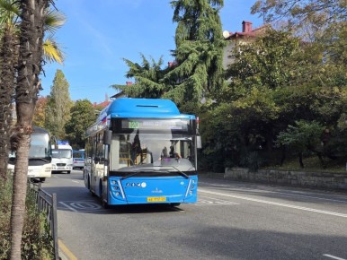 Транспорт Сочи украсили ко Дню народного единства