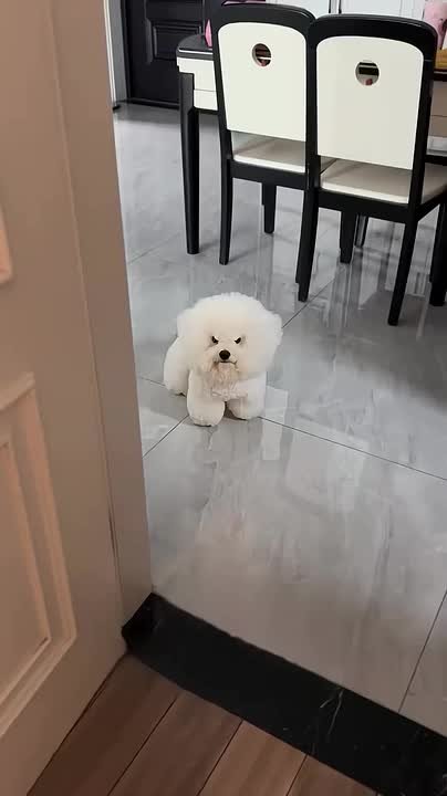 Вот они, "долгожданные" будни после долгих выходных