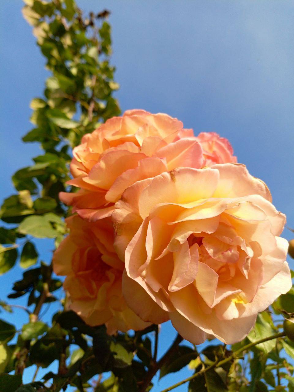 О погоде на 5 ноября. В Краснодарском крае облачно с прояснениями