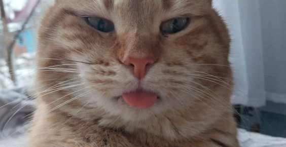 О погоде на 6 ноября. В Краснодарском крае переменная облачность