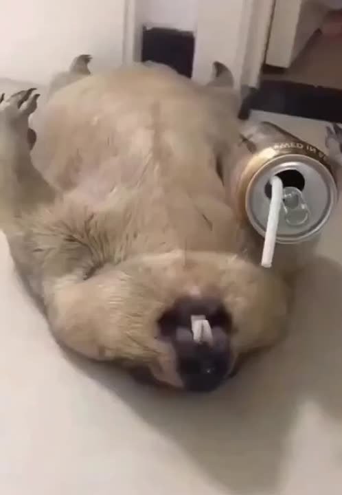 Когда даже энергетик не помогает проснуться