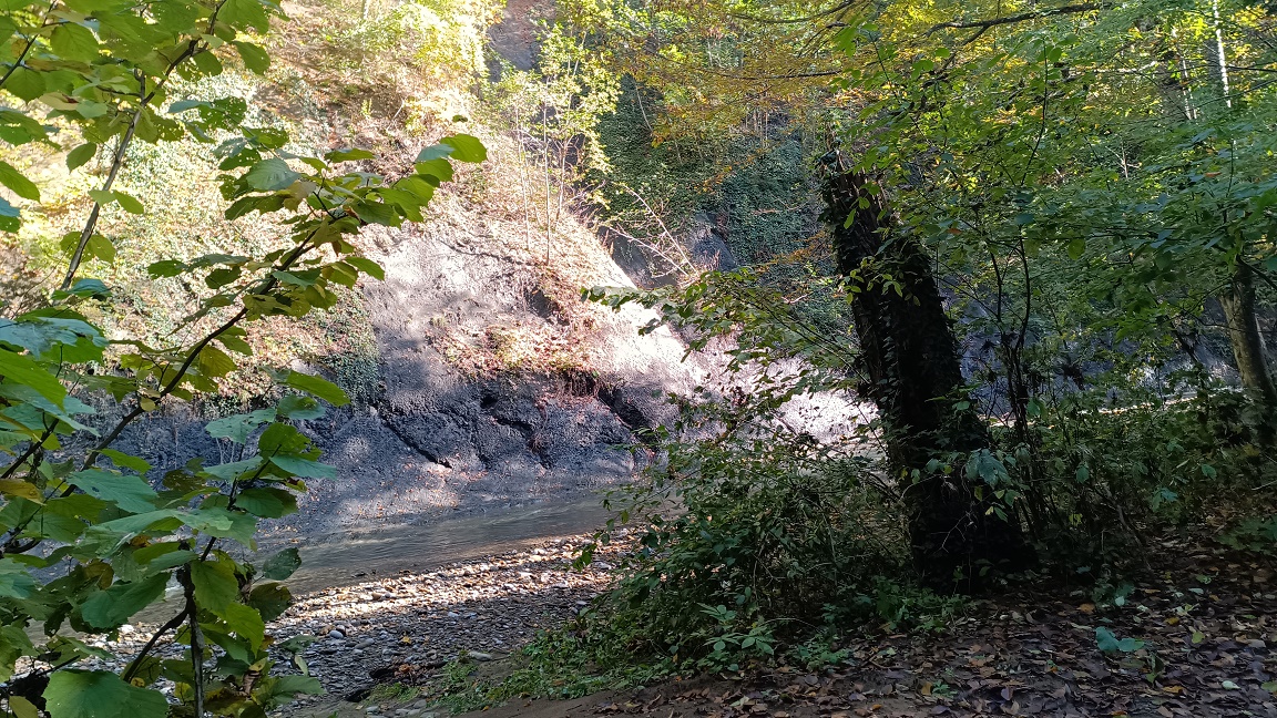 Резких изменений в погоде на Кубани пока не предвидится