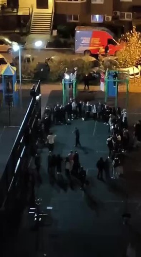 Екатерина Мизулина: Подростки в Краснодаре организовали бойцовский клуб и терроризируют дворы