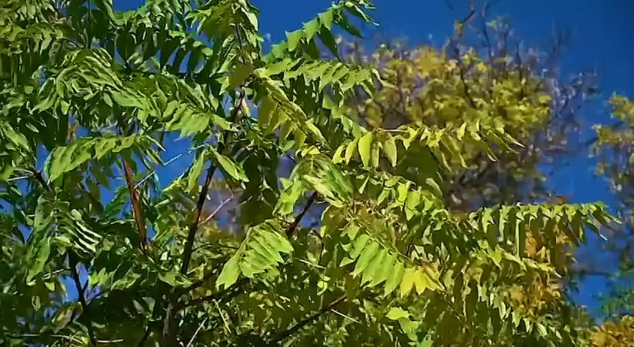 Какие планы на выходные?. У нас есть для вас предложение! До Геленджика совсем недалеко: из Краснодара всего 3 часа пути, из Анапы около полутора, из Новороссийска меньше часа