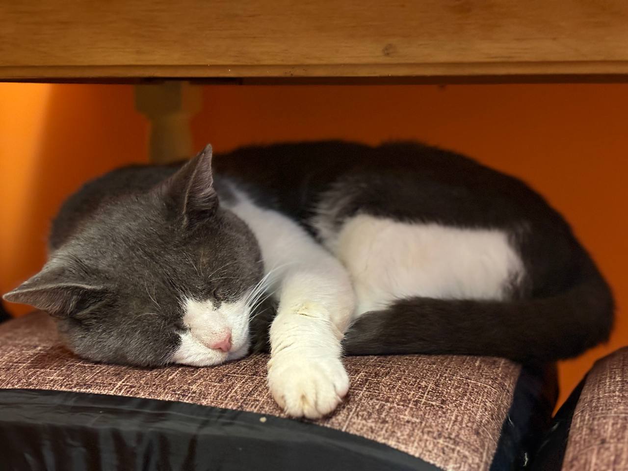 Доброго утра, Краснодарский край!