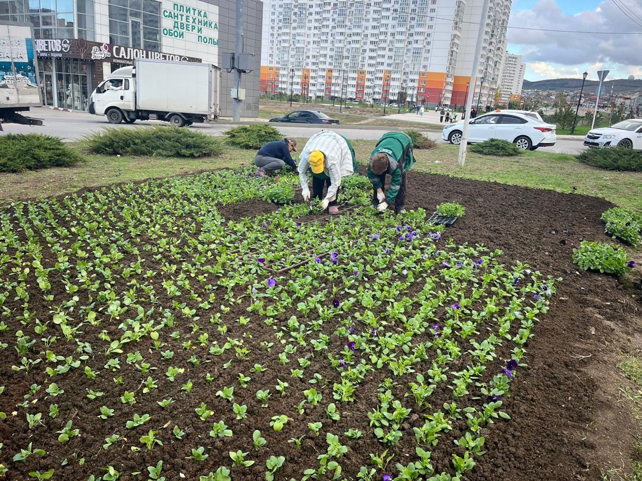 Город готовится к зиме, но красок меньше не станет