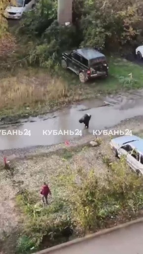 Список дел краснодарцев на вечер пятницы: