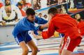 В Армавире провели соревнования в рамках Всероссийской школьной лиги самбо на кубок губернатора Краснодарского края