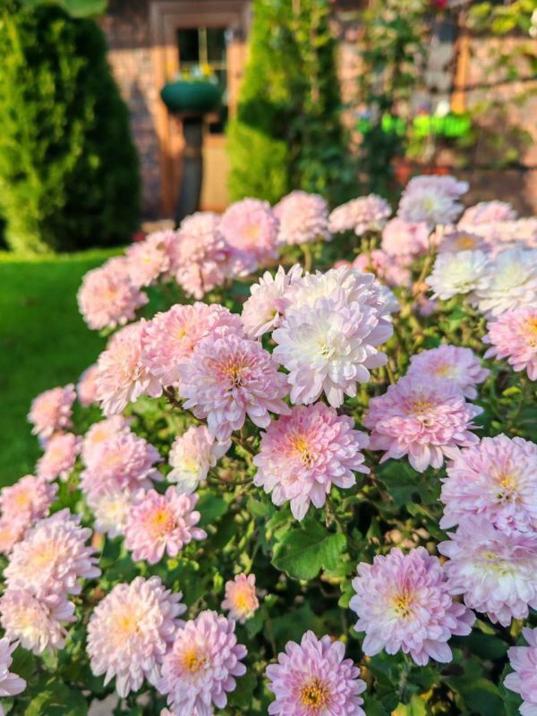 О погоде на 9 ноября. В Краснодарском крае переменная облачность