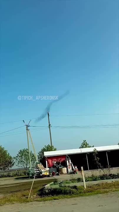 «Танец тысячи птиц» заметили в небе возле дороги в Краснодар