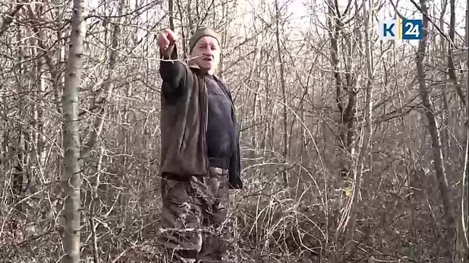 О массовой гибели кабанов сообщили жители Абинского района