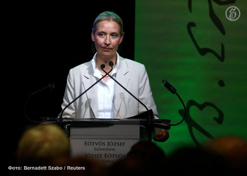 Руководство «Альтернативы для Германии» (АдГ) выступило против поездки своих депутатов на международный симпозиум в формате БРИКС—Европа, который пройдет в Сочи с 13 по 17 ноября