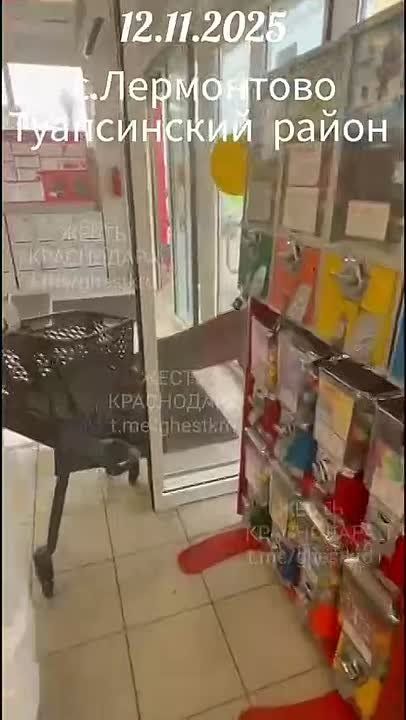 В Лермонтово олень пришел за покупками в супермаркет