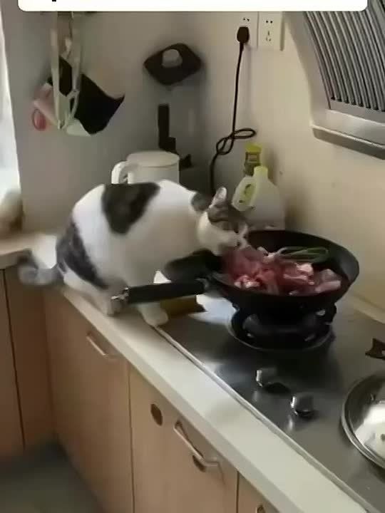 Милые воришки