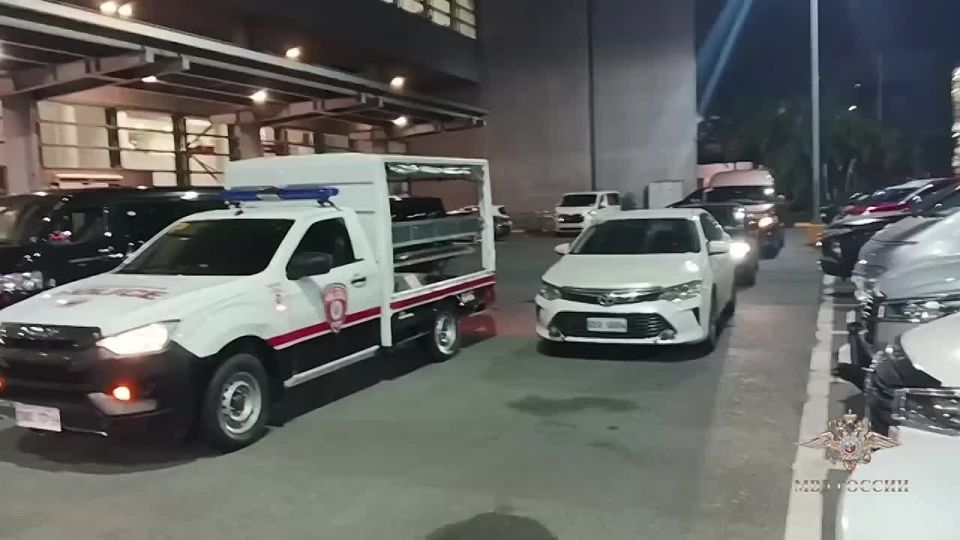 Ирина Волк: Из Республики Филиппины депортировали разыскиваемого по каналам Интерпола гражданина России